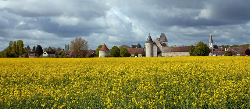 prato giallo con castello in Loira, Francia