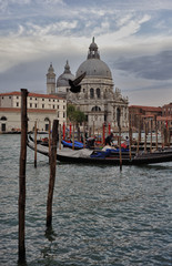 Fototapeta na wymiar Santa Maria Della Salute in Venice, Italy