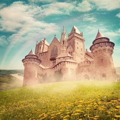 Sprookjesprinses kasteel