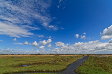 Fototapeta na wymiar Holland countryside