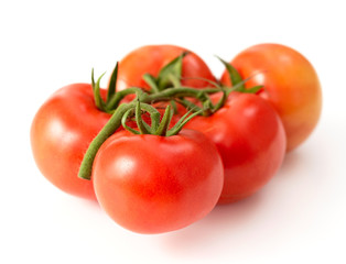 fresh red tomatoes