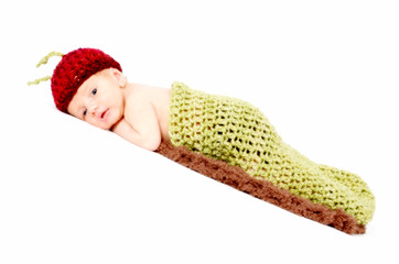 Babyraupe