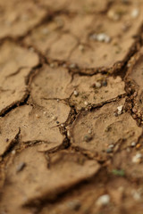 Dry soil texture