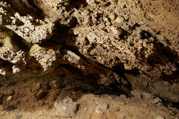 Dry soil texture