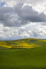 Colline Toscane