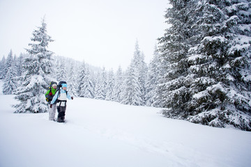 Hiker in the winter forest