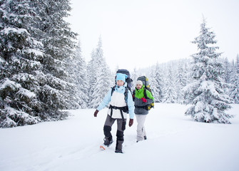 Hiker in the winter forest