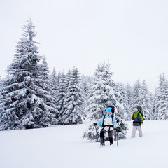 Hiker in the winter forest