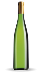 Wine bottle