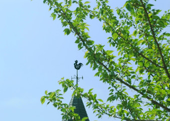 風見鶏_新緑