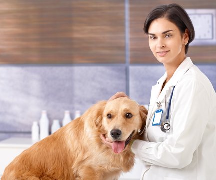 Female vet with dog at clinic