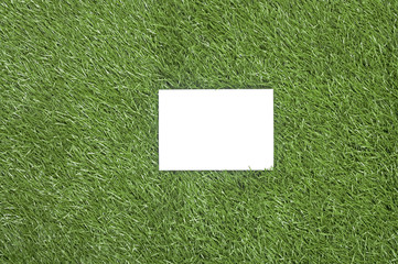 White Paper On The Grass