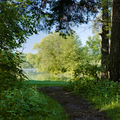 Obraz premium The footpath between the trees leading to the lake