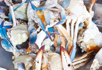 Fresh raw flower crab or blue crab for cooking