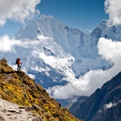 Peel and stick wall murals Himalayas Hiking in Himalaya mountains