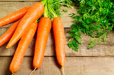 carrots bunch