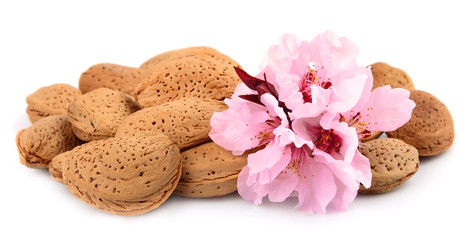 Almonds with flowers