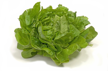 Kopfsalat