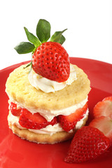 Strawberry and cream shortcake