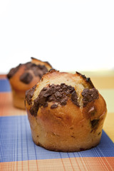 Chocolate muffins