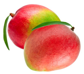 Mango isolated on white background