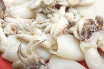 Fresh cuttlefish