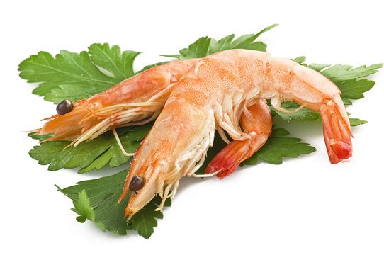 shrimps