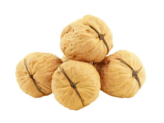 Small group of walnuts. - 41169282