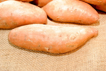 Fresh Harvested Yams