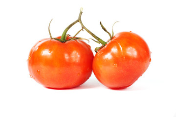 Two fresh tomatoes with green branch isolated on white