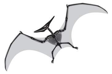 pterodactyl © KVasay