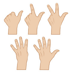 Hände zählend -farbig