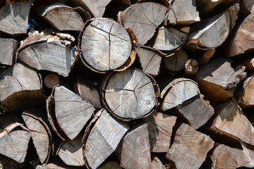Brennholz © ernstboese