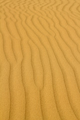 Fototapeta na wymiar gold sand desert background