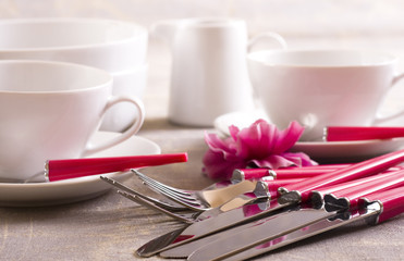 pink cutlery