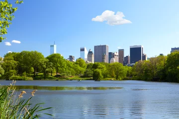 The Lake at Central Park in New York City © Oleksandr Dibrova