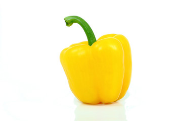 Yellow bell chili white isolate