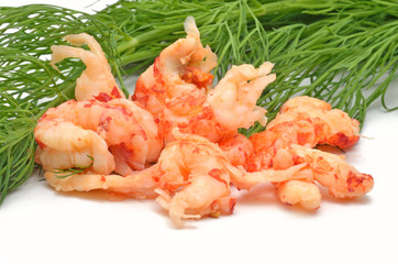 Fleisch von Flußkrebsen