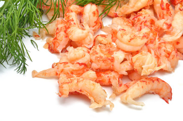 Fleisch von Flußkrebsen