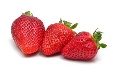 Erdbeeren