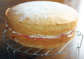 sponge cake