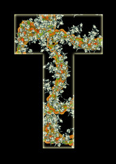 Letter T.