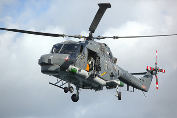 Fototapeta na wymiar Sea Lynx Federalnej Marine