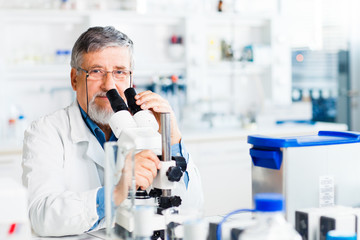 senior male researcher carrying out scientific research in a lab