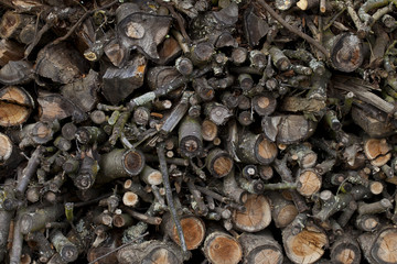 gesammeltes Holz auf Stapel aufgeschichtet