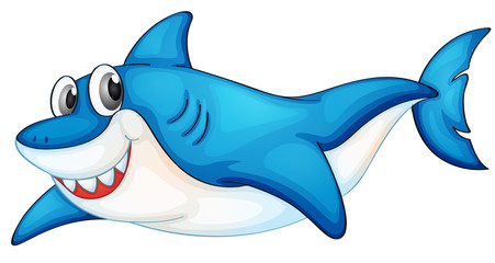 Comical shark illustration