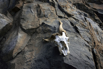 Skull hanging on climbing wall in VistaMar Tenerife