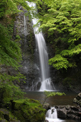 Obraz premium Minoh Falls