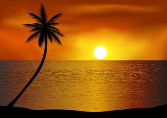 Tropical beach sunset
