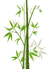 Bamboo background, vector